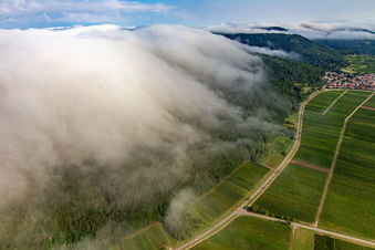 Vue aérienne de Des nuages denses venant de l'ouest s'écoulent sur le bord du Haardt en dessous du Madenburg à Eschbach dans le département Rhénanie-Palatinat, Allemagne