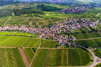 Vue aérienne de Ville du sud à Ranschbach dans le département Rhénanie-Palatinat, Allemagne