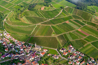 Vue aérienne de Vignoble de Kastanienbusch derrière le village viticole depuis le sud-est à Birkweiler dans le département Rhénanie-Palatinat, Allemagne