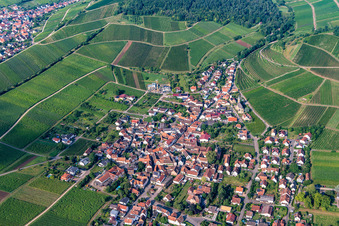 Vue aérienne de Vignoble de Kastanienbusch derrière le village viticole depuis l'est à Birkweiler dans le département Rhénanie-Palatinat, Allemagne