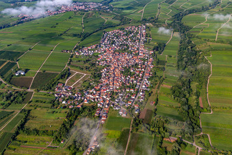 Vue aérienne de Village vu de l'est le matin sous les nuages à le quartier Arzheim in Landau in der Pfalz dans le département Rhénanie-Palatinat, Allemagne