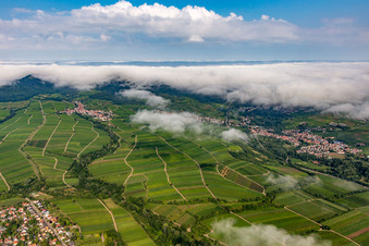 Vue aérienne de Vignobles en bordure de la forêt du Palatinat, couverte de nuages, entre Arzheim, Birkweiler et Ranschbach à le quartier Arzheim in Landau in der Pfalz dans le département Rhénanie-Palatinat, Allemagne
