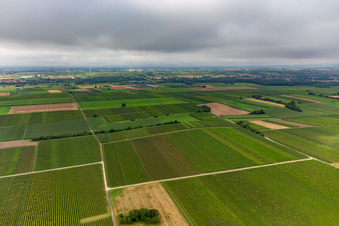 Vue aérienne de Vallée profonde sous une couverture nuageuse basse à le quartier Mühlhofen in Billigheim-Ingenheim dans le département Rhénanie-Palatinat, Allemagne