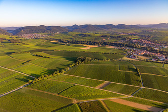 Vue aérienne de Des vignobles partout dans le Klingbachtal entre Klingenmünster et Klingen à le quartier Klingen in Heuchelheim-Klingen dans le département Rhénanie-Palatinat, Allemagne