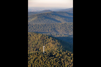 Vue aérienne de Tour Stäffelberg vue du nord à Dörrenbach dans le département Rhénanie-Palatinat, Allemagne