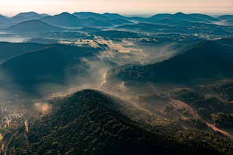 Vue aérienne de Brume matinale dans la forêt du Palatinat depuis le nord à Oberschlettenbach dans le département Rhénanie-Palatinat, Allemagne