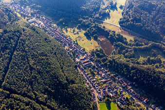Vue aérienne de Dans les bouleaux à Hinterweidenthal dans le département Rhénanie-Palatinat, Allemagne