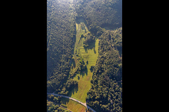 Vue aérienne de Clairière dans le Seebachtal à Hinterweidenthal dans le département Rhénanie-Palatinat, Allemagne