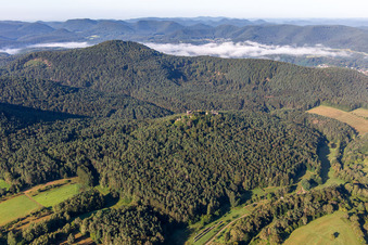 Photographie aérienne de Ruines du château de Drachenfels à Busenberg dans le département Rhénanie-Palatinat, Allemagne
