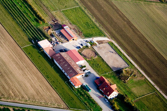 Vue aérienne de Ferme d'asperges Hillenbrand à Schwetzingen dans le département Bade-Wurtemberg, Allemagne