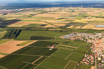 Enregistrement par drone de Insheim dans le département Rhénanie-Palatinat, Allemagne