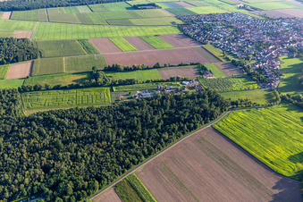 Labyrinthe de maïs, lieu de mariage et salon de plage Seehof à Steinweiler dans le département Rhénanie-Palatinat, Allemagne vu d'un drone