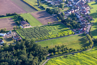 Vue aérienne de Labyrinthe de maïs, lieu de mariage et salon de plage Seehof à Steinweiler dans le département Rhénanie-Palatinat, Allemagne