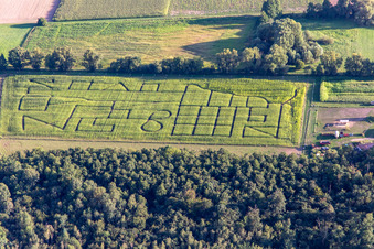 Photographie aérienne de Labyrinthe de maïs, lieu de mariage et salon de plage Seehof à Steinweiler dans le département Rhénanie-Palatinat, Allemagne