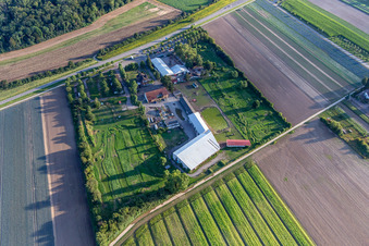 Photographie aérienne de Footgolf Park Südpfalz à Adamshof à Kandel dans le département Rhénanie-Palatinat, Allemagne