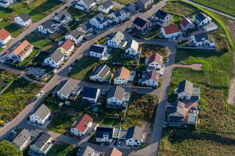 Chemin des jonquilles à Kandel dans le département Rhénanie-Palatinat, Allemagne d'en haut