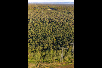 Vue oblique de Wörth am Rhein dans le département Rhénanie-Palatinat, Allemagne