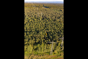 Vue aérienne de Deux lignes à haute tension parallèles au-dessus du Bienwald à Wörth am Rhein dans le département Rhénanie-Palatinat, Allemagne