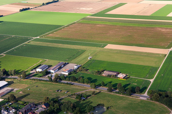 Vue aérienne de Ultralight Airfield Kückhoven GmbH à le quartier Kückhoven in Erkelenz dans le département Rhénanie du Nord-Westphalie, Allemagne