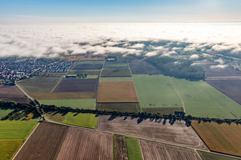 Vue aérienne de Chemin entre les vents et Steinweiler au bord du nuage à Steinweiler dans le département Rhénanie-Palatinat, Allemagne