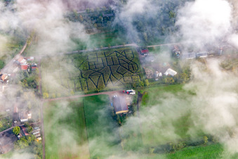 Vue aérienne de Labyrinthe de maïs de Seehof sous des nuages bas à Steinweiler dans le département Rhénanie-Palatinat, Allemagne