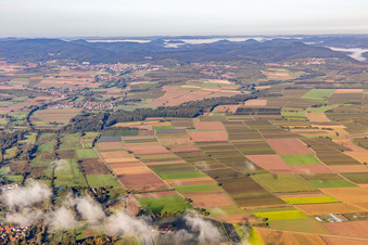 Vue aérienne de Billigheimer Bruch et Horbachtal à le quartier Mühlhofen in Billigheim-Ingenheim dans le département Rhénanie-Palatinat, Allemagne