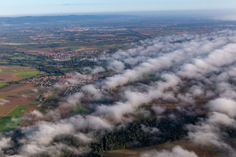 Vue aérienne de Village au bord des nuages du sud à Steinweiler dans le département Rhénanie-Palatinat, Allemagne