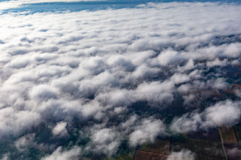 Photographie aérienne de Parc éolien à Minfeld partiellement dans les nuages à Minfeld dans le département Rhénanie-Palatinat, Allemagne
