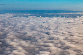 Photographie aérienne de Les rotors du parc éolien près d'Offenbach s'élèvent au-dessus des nuages bas à Offenbach an der Queich dans le département Rhénanie-Palatinat, Allemagne