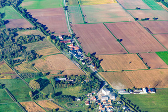 Vue aérienne de Gare de Schaidt à Steinfeld dans le département Rhénanie-Palatinat, Allemagne