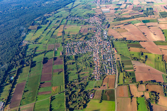 Vue aérienne de De l'est à Steinfeld dans le département Rhénanie-Palatinat, Allemagne
