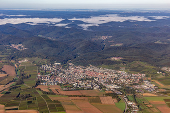 Vue aérienne de Ville vue de l'est à Bad Bergzabern dans le département Rhénanie-Palatinat, Allemagne