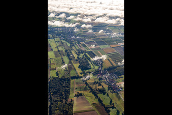 Vue aérienne de Billigheimer Bruch vu de l'ouest à le quartier Mühlhofen in Billigheim-Ingenheim dans le département Rhénanie-Palatinat, Allemagne