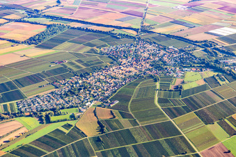 Vue aérienne de Ville du sud-ouest à Insheim dans le département Rhénanie-Palatinat, Allemagne