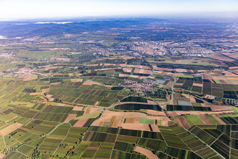 Vue aérienne de Du sud à Landau in der Pfalz dans le département Rhénanie-Palatinat, Allemagne