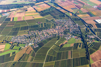 Vue aérienne de Ville du sud à Insheim dans le département Rhénanie-Palatinat, Allemagne
