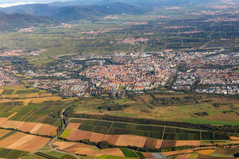 Vue aérienne de Ville du sud à Landau in der Pfalz dans le département Rhénanie-Palatinat, Allemagne
