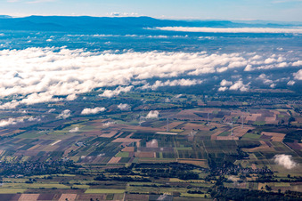 Vue aérienne de Parc éolien près de Freckenfeld à Hergersweiler dans le département Rhénanie-Palatinat, Allemagne