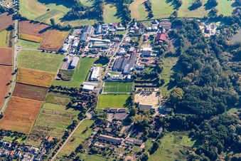 Vue aérienne de Industriestraße avec terrain de football TSV Fortuna à Billigheim-Ingenheim dans le département Rhénanie-Palatinat, Allemagne