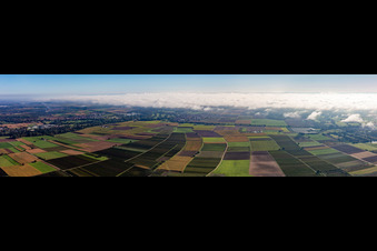 Vue aérienne de Panorama Tiefental à Billigheim-Ingenheim dans le département Rhénanie-Palatinat, Allemagne