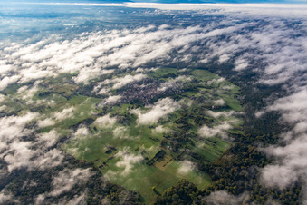 Vue aérienne de Une île dans le Bienwald sous les nuages à le quartier Büchelberg in Wörth am Rhein dans le département Rhénanie-Palatinat, Allemagne