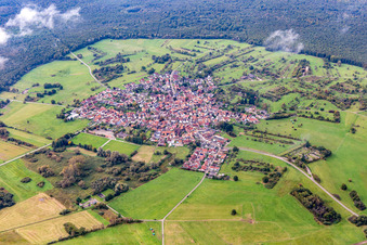Vue oblique de Une île dans le Bienwald sous les nuages à le quartier Büchelberg in Wörth am Rhein dans le département Rhénanie-Palatinat, Allemagne