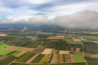 Vue aérienne de Village sous les nuages d'automne du sud à le quartier Billigheim in Billigheim-Ingenheim dans le département Rhénanie-Palatinat, Allemagne