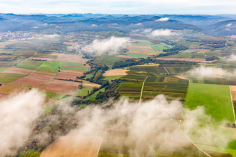 Vue aérienne de Horbachtal sous les nuages d'automne de l'est à le quartier Ingenheim in Billigheim-Ingenheim dans le département Rhénanie-Palatinat, Allemagne
