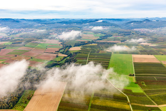 Vue aérienne de Horbachtal sous les nuages d'automne de l'est à le quartier Ingenheim in Billigheim-Ingenheim dans le département Rhénanie-Palatinat, Allemagne