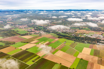 Vue aérienne de Village sous les nuages d'automne à le quartier Mühlhofen in Billigheim-Ingenheim dans le département Rhénanie-Palatinat, Allemagne