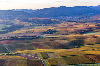 Vignobles du sud de la Wienstraße dans les feuilles d'automne à le quartier Ingenheim in Billigheim-Ingenheim dans le département Rhénanie-Palatinat, Allemagne d'en haut