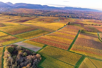 Vue aérienne de Vignobles du sud de la Wienstraße dans les feuilles d'automne à le quartier Klingen in Heuchelheim-Klingen dans le département Rhénanie-Palatinat, Allemagne