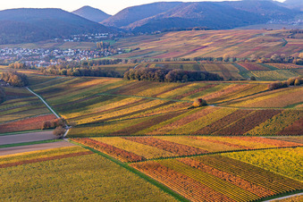 Photographie aérienne de Vignobles du sud de la Wienstraße dans les feuilles d'automne à le quartier Klingen in Heuchelheim-Klingen dans le département Rhénanie-Palatinat, Allemagne