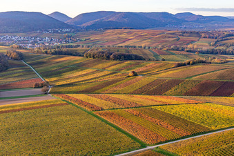 Vue oblique de Vignobles du sud de la Wienstraße dans les feuilles d'automne à le quartier Klingen in Heuchelheim-Klingen dans le département Rhénanie-Palatinat, Allemagne